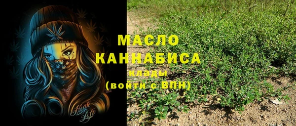 мдпв Дмитров