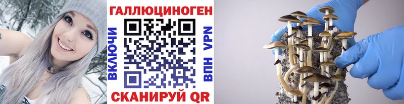 Купить  Апатиты  Галлюциногенные грибы MAGIC MUSHROOMS 